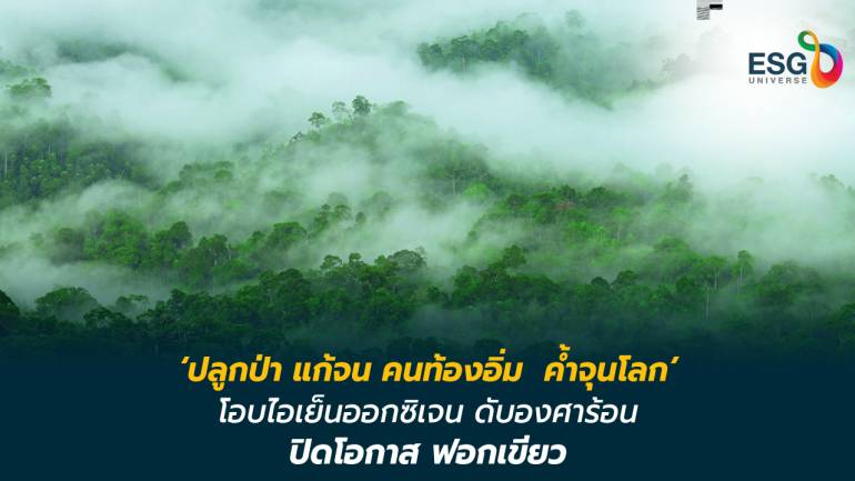 มูลนิธิแม่ฟ้าหลวงฯ ไขหนทางแก้จนยั่งยืน  ‘การปลูกป่า ปลูกคน’ ค้นโอกาสกู้วิกฤตโลก 