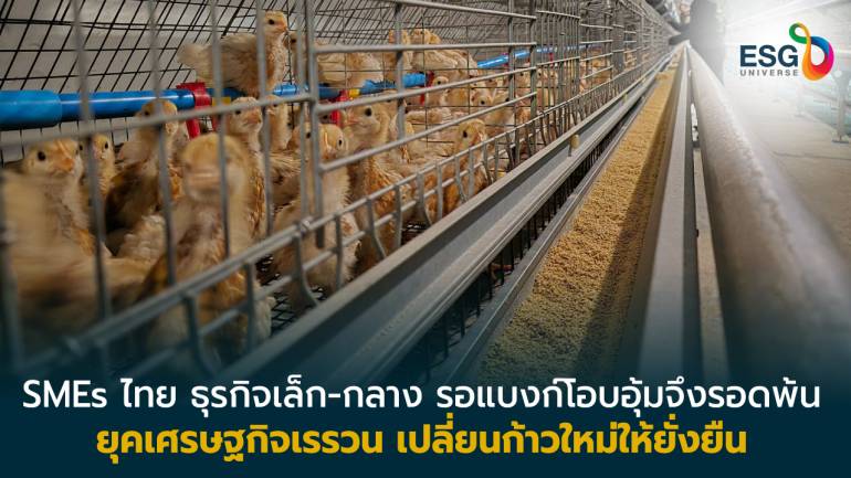 ชมรมบัวหลวง SME ชู 2 ธุรกิจรายย่อยต่างขั้ว ปรับธุรกิจมุ่งสู่ความยั่งยืน 