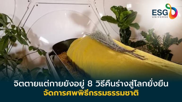 ตายแล้ว(ร่าง)ไปไหน? 8 วิธีกำจัดร่างไร้วิญญาณแบบยั่งยืน ทั่วโลกทำอย่างไร