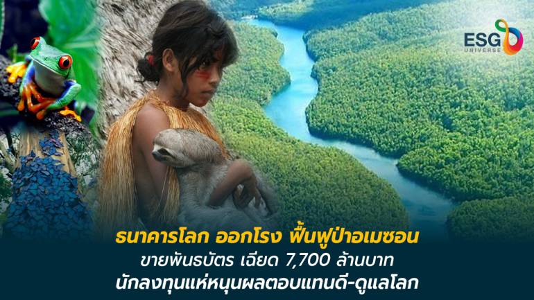 เวิล์ดแบงก์ขายบอนด์เกือบ 7,700 ล้านบาท ปลูกป่าอเมซอน นักลงทุนตอบรับท้วมท้น