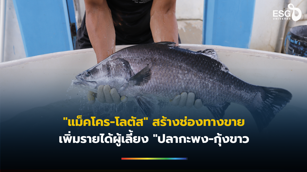 เกษตรกร