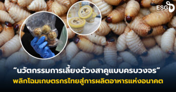 ด้วงสาคู