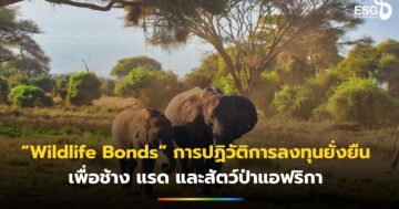 Wildlife Bonds