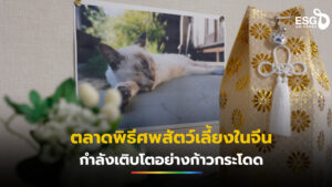 พิธีศพสัตว์เลี้ยง