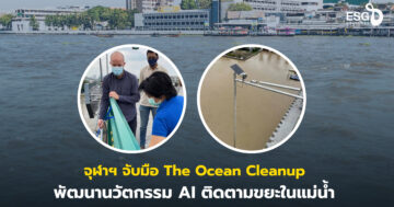 นวัตกรรม AI