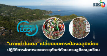 เกาะเต่าโมเดล