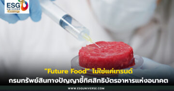 Future Food