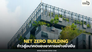 Net Zero Building