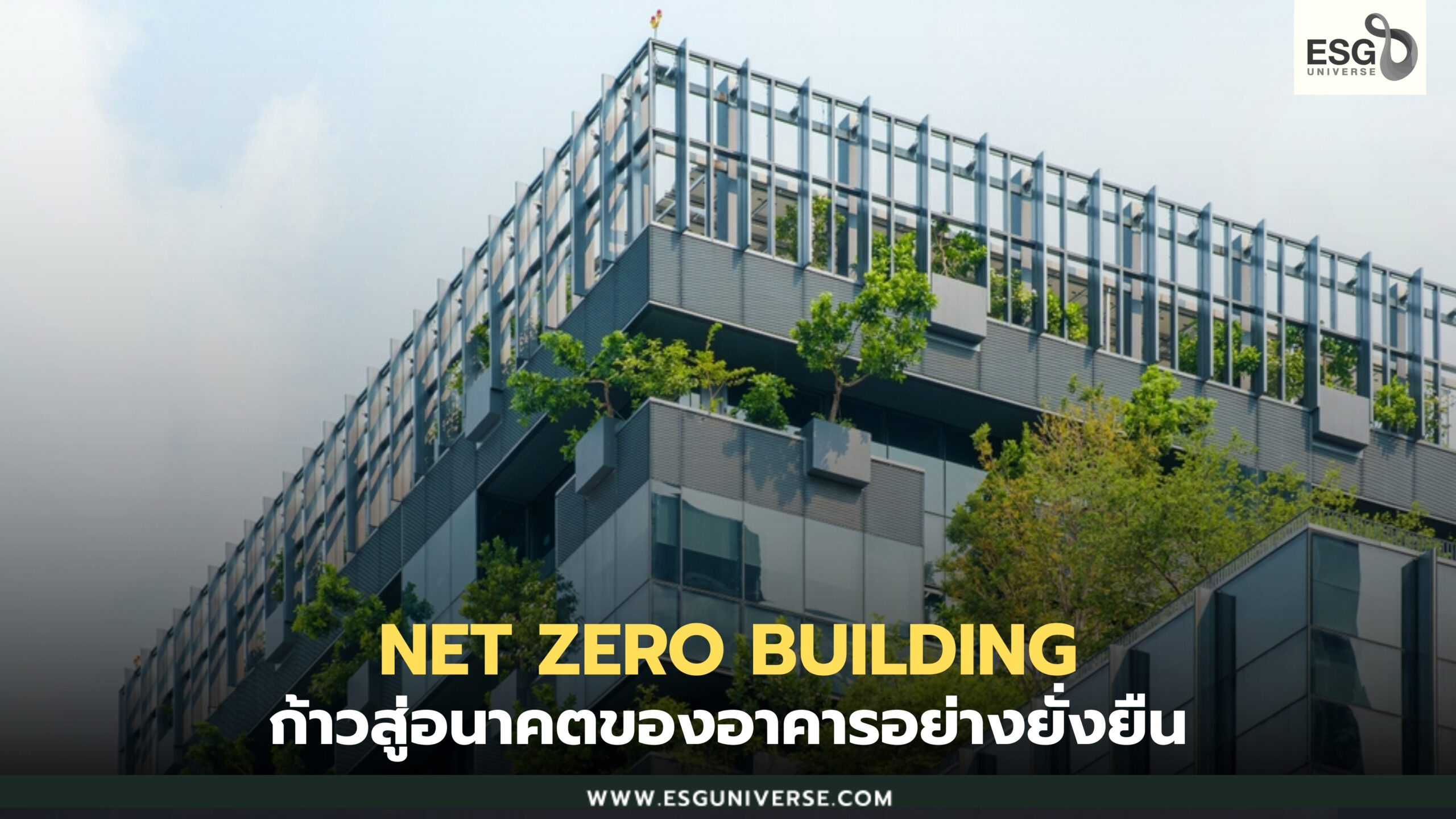 Net Zero Building