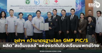 สเต็มเซลล์