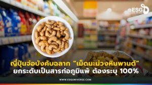 เม็ดมะม่วงหิมพานต์