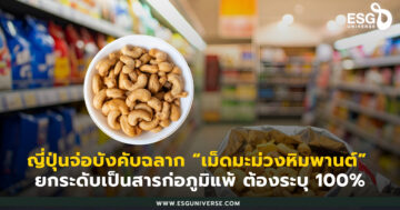 เม็ดมะม่วงหิมพานต์