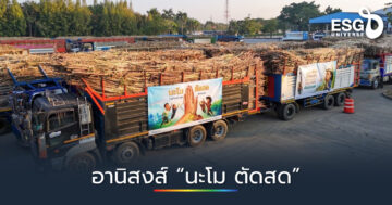 มิตรผล