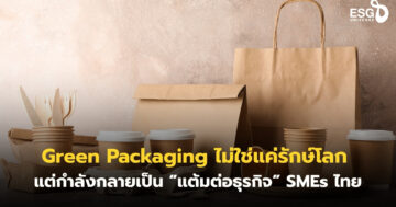 Green Packaging
