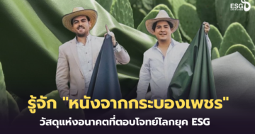 หนังจากกระบองเพชร
