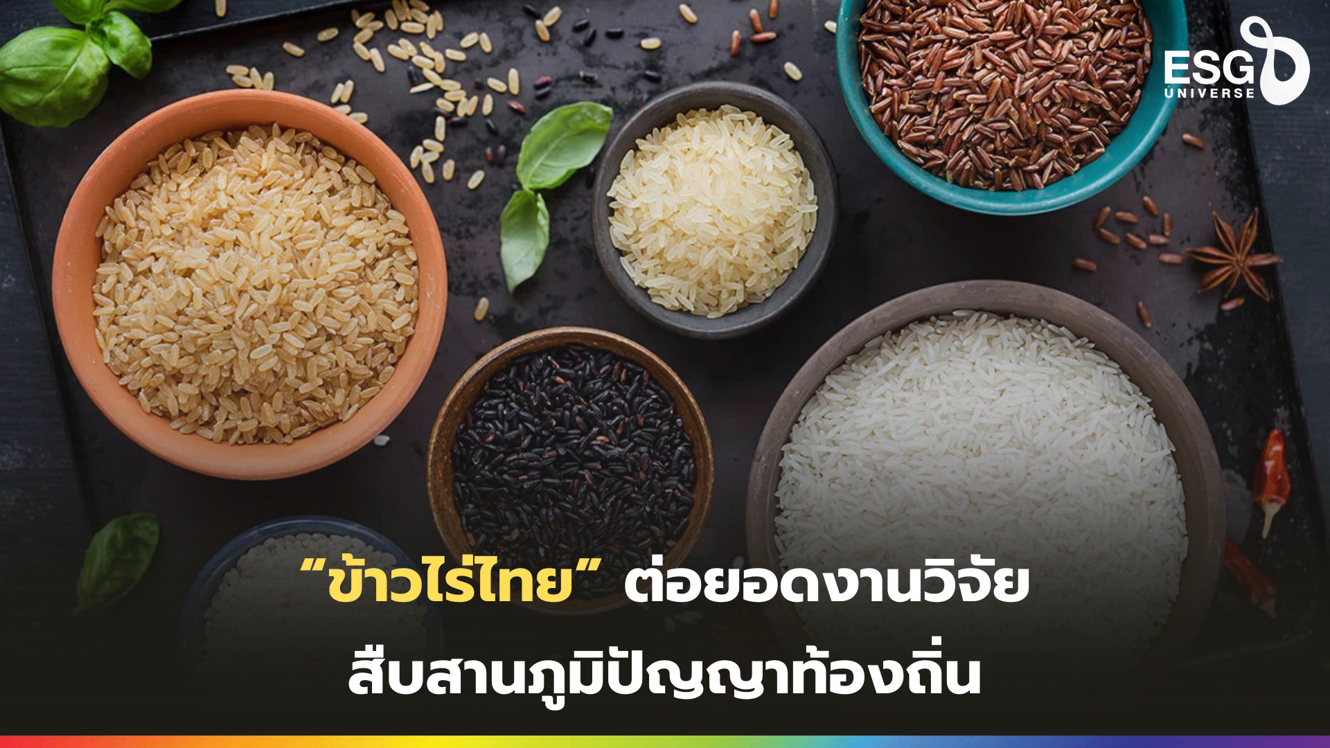 ข้าวไร่ไทย