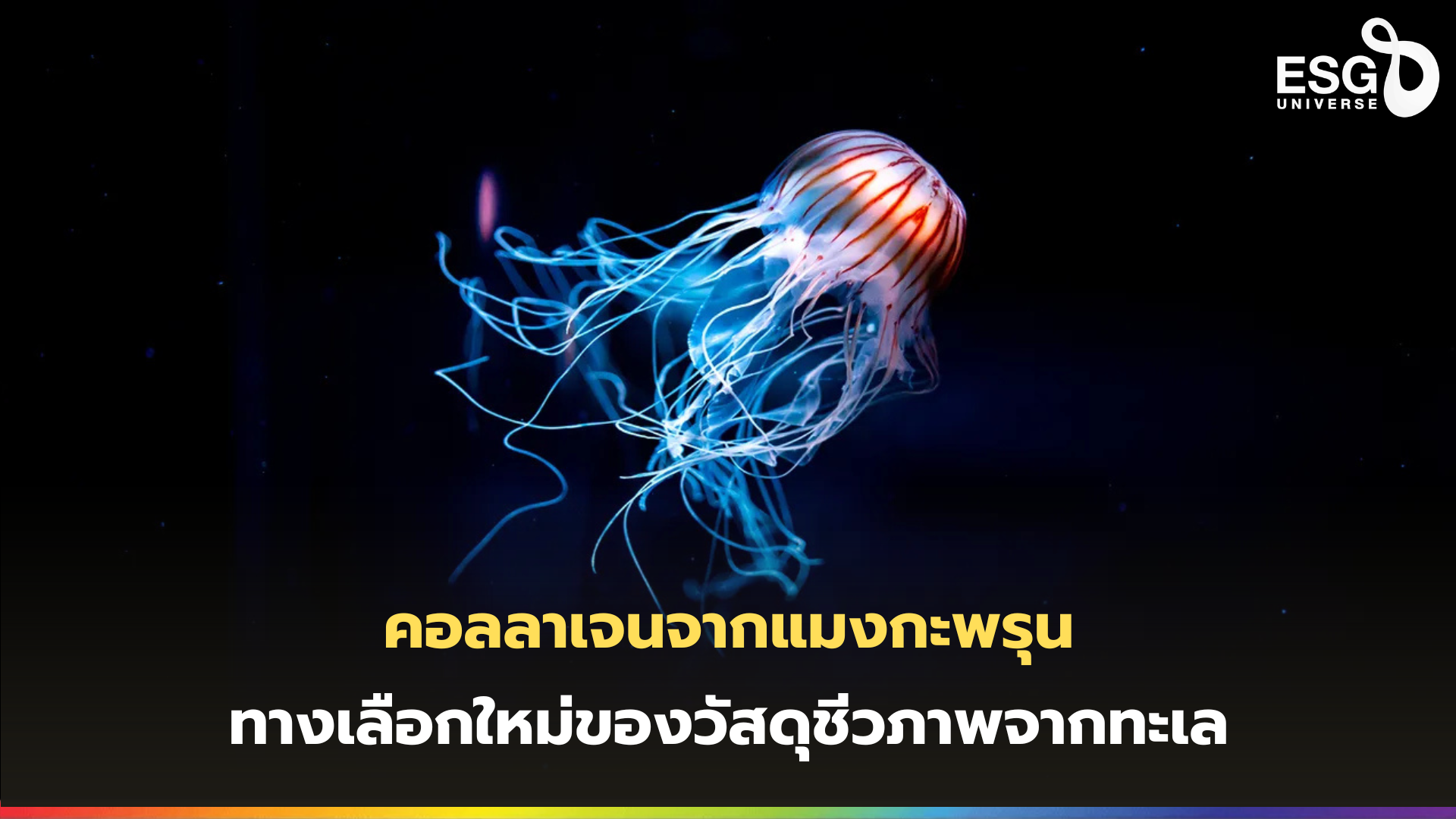 คอลลาเจนจากแมงกะพรุน