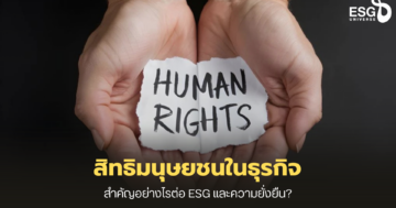สิทธิมนุษยชนในธุรกิจ
