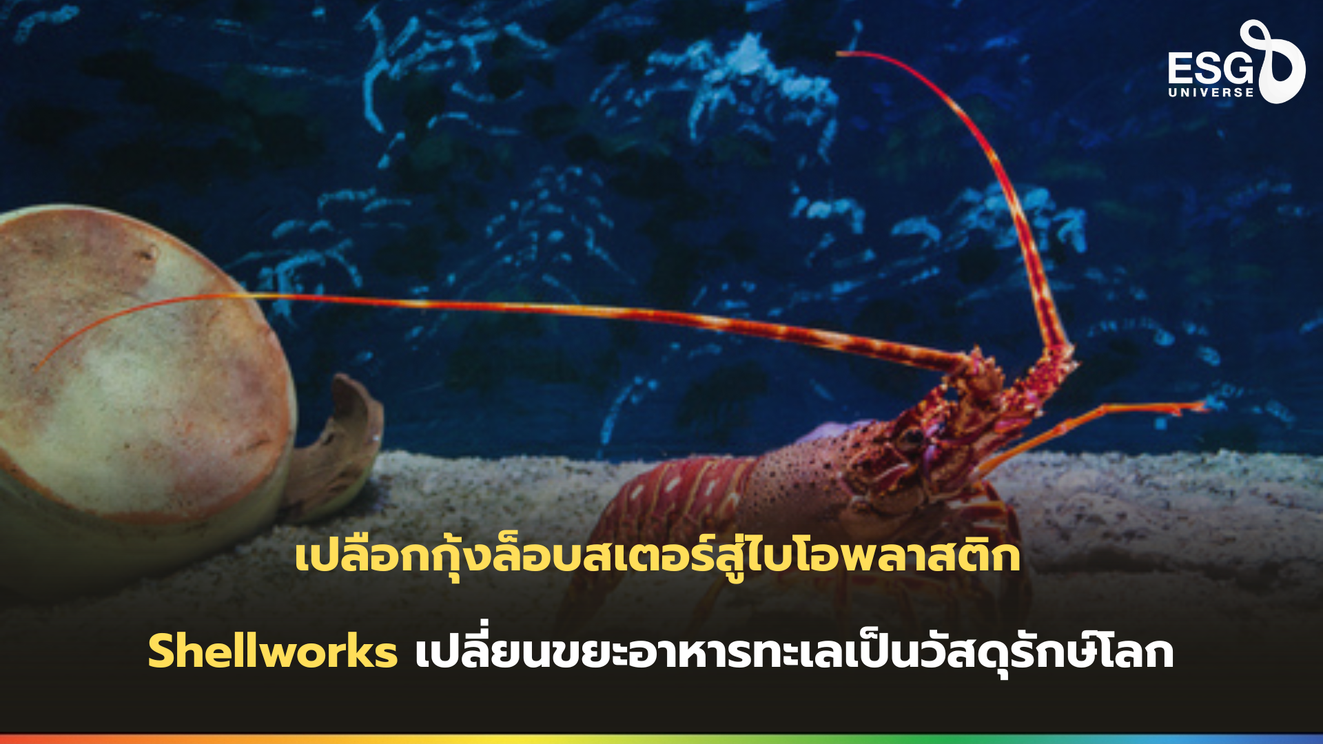 เปลือกกุ้งล็อบสเตอร์สู่ไบโอพลาสติก