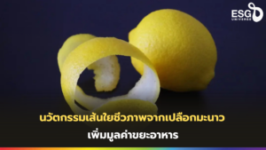 เส้นใยชีวภาพจากเปลือกมะนาว