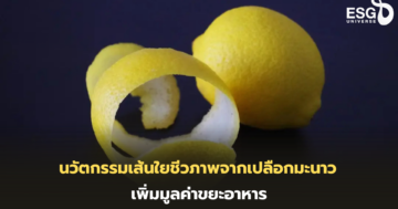 เส้นใยชีวภาพจากเปลือกมะนาว