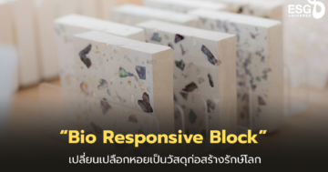 Bio-Responsive-Block