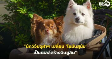 นักวิจัยจุฬาฯ