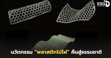 พลาสติกไม้ไผ่