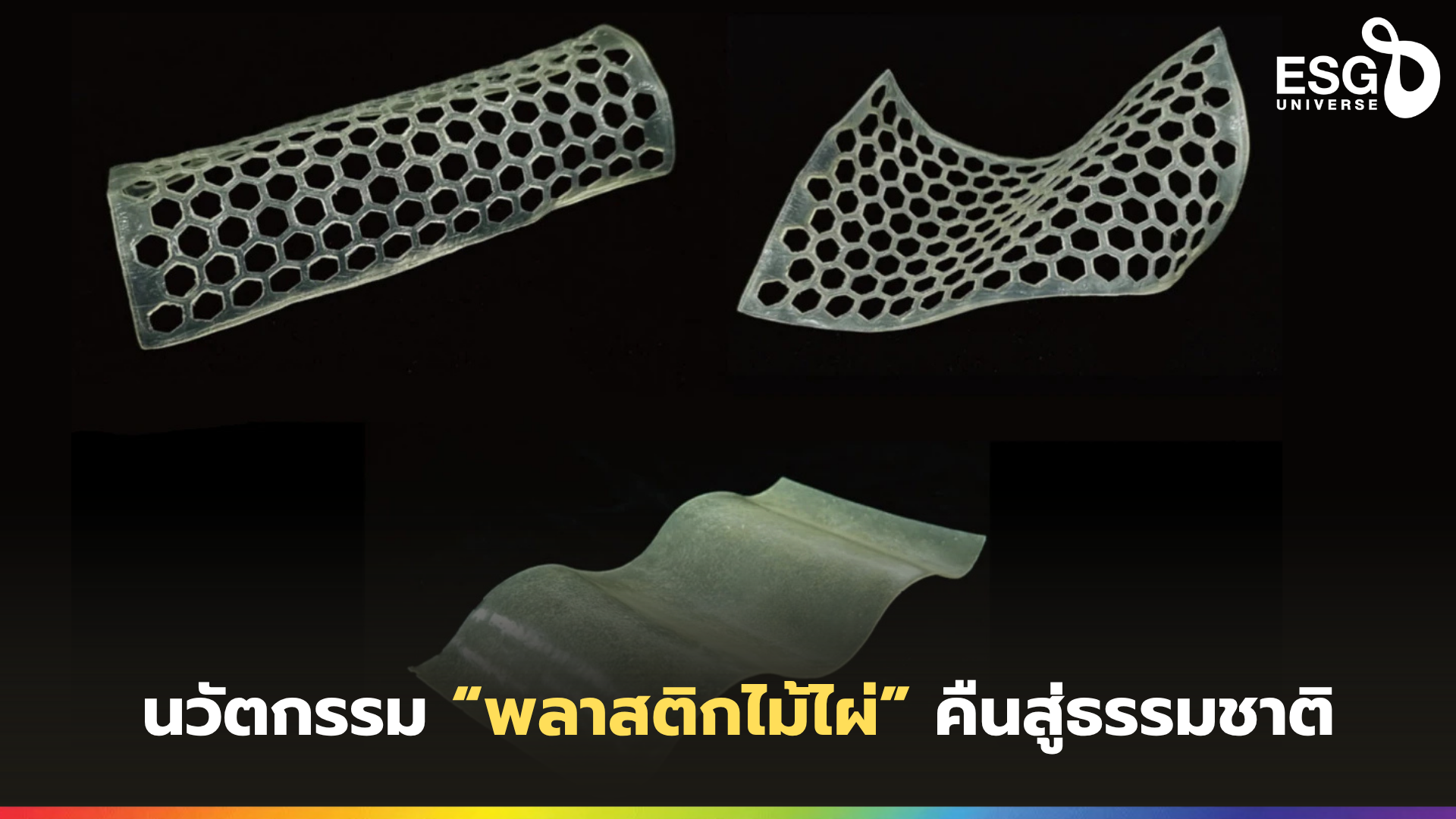 พลาสติกไม้ไผ่