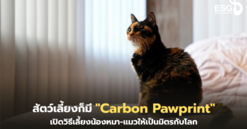 Carbon Pawprint