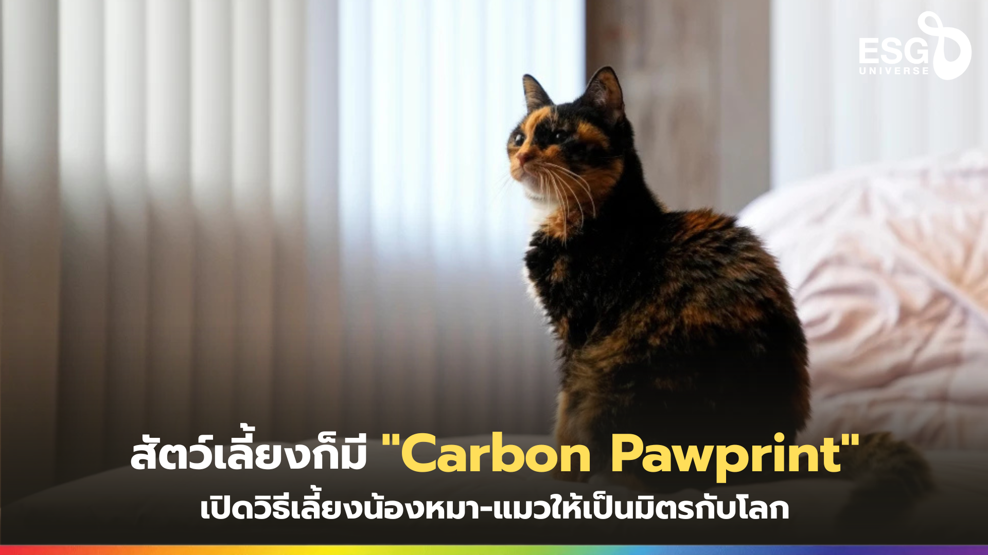 Carbon Pawprint