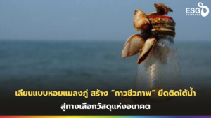 กาวชีวภาพ