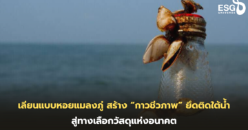 กาวชีวภาพ