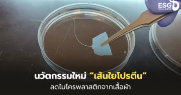 เส้นใยโปรตีน