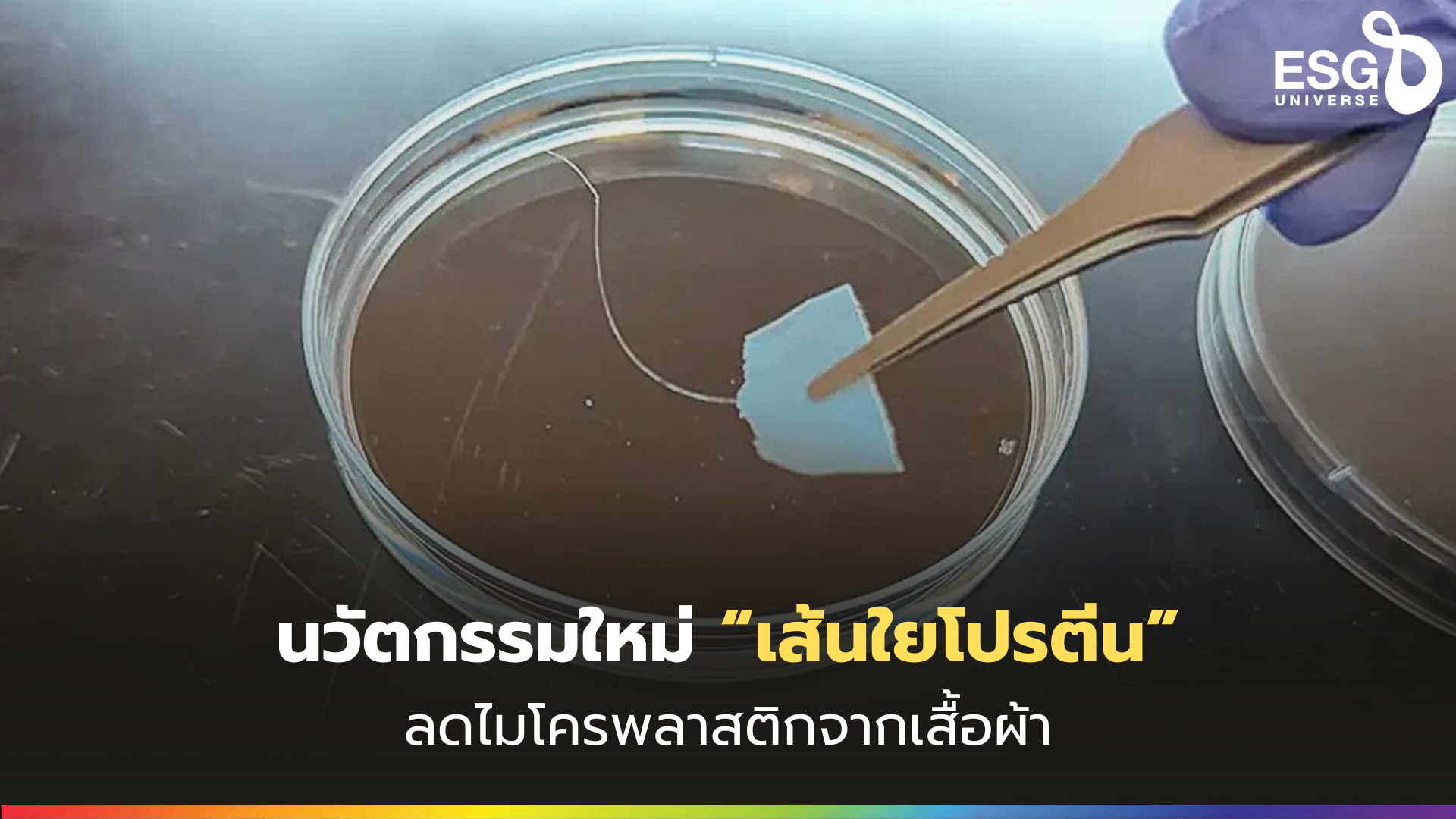 เส้นใยโปรตีน