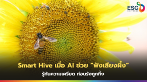 Smart Hive
