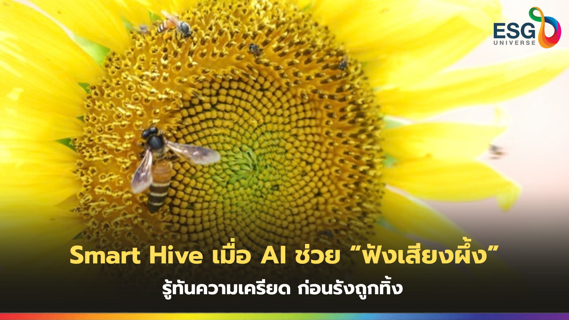 Smart Hive